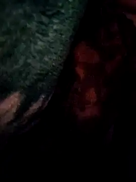 QuittingBiennial's cam snapshot