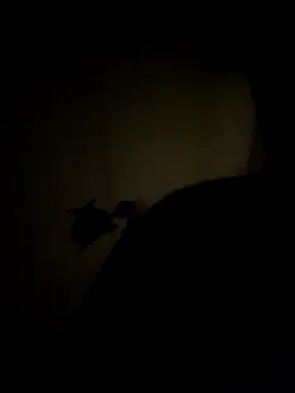 se_x_instruktor's cam snapshot