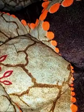 Raj-rajendri__sexy24's cam snapshot