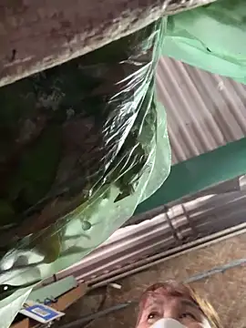 YANINA120 live sex cam