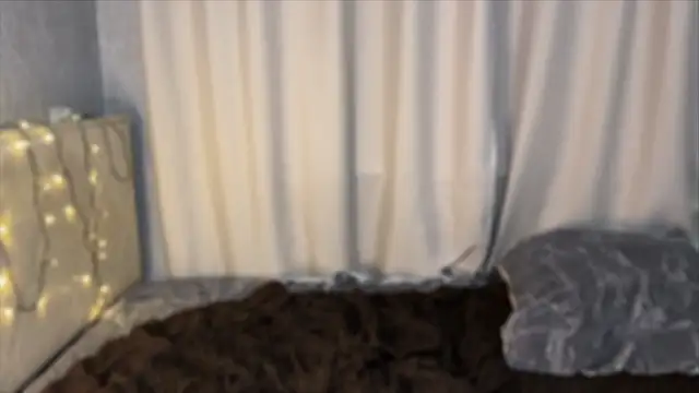 easter_altt's cam snapshot