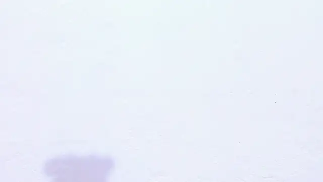 Emely_pregnantt's cam snapshot