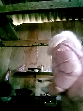 Noelle-e's cam snapshot