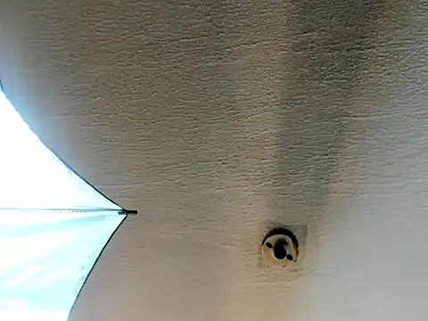 cami-coral1 live sex cam