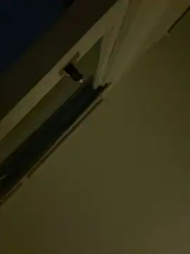 kadycatxx's cam snapshot