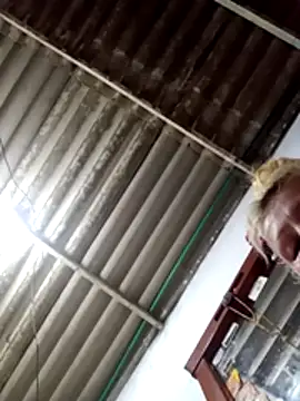 Nicolle_Milf live sex cam