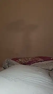 palmal3's cam snapshot