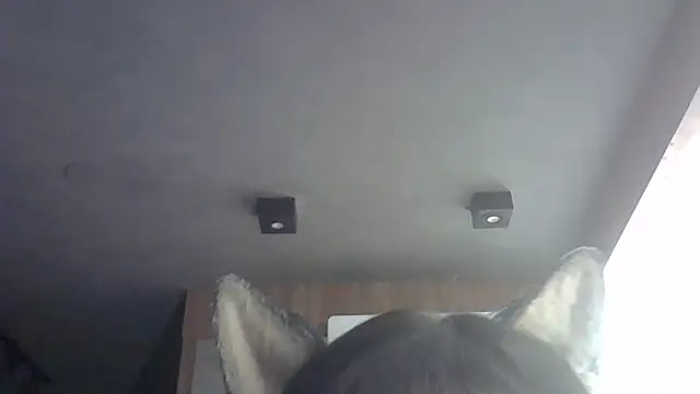 SkinnyKitten's cam snapshot