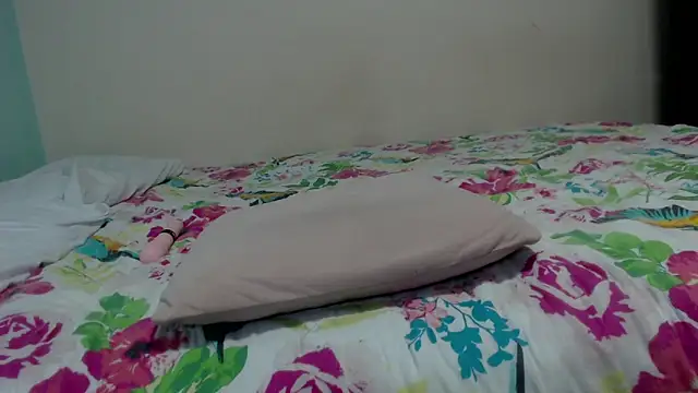 arianna_ros3's cam snapshot