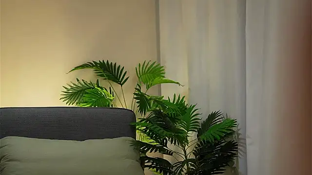 akumadadrive live sex cam