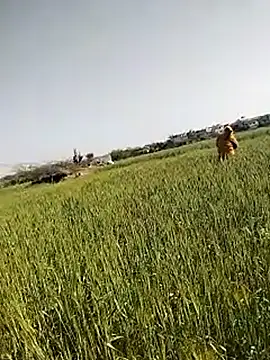 hornycouple20000 live sex cam