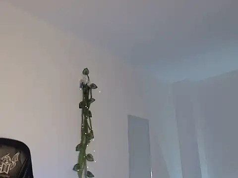 valgigik3's cam snapshot