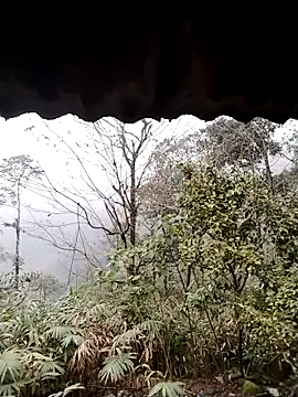 dorothyxx's cam snapshot