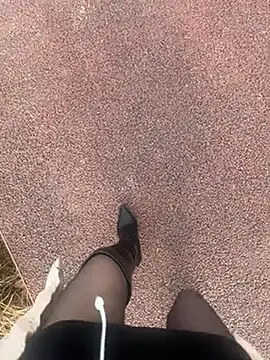 petoys's cam snapshot