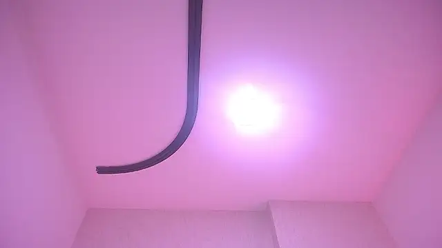 _carolina_fox's cam snapshot