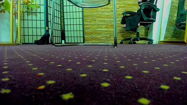 AishaRouhi's cam snapshot