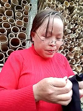 noko545's cam snapshot