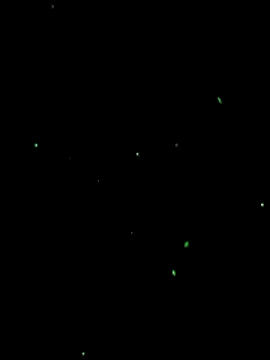 Whipit323 live sex cam