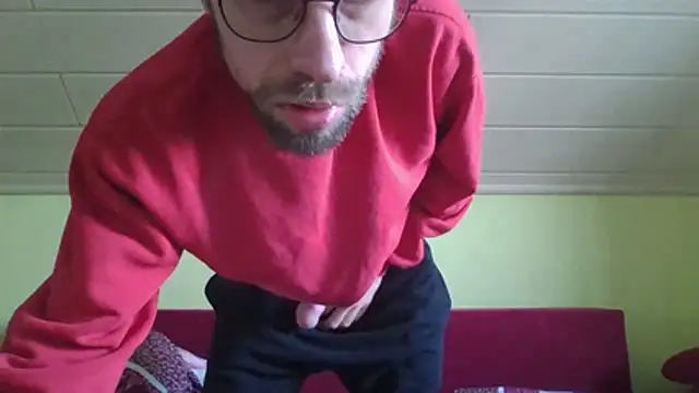 vers92_seb live sex cam