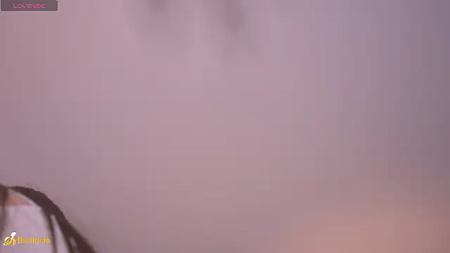 Bellacle live sex cam