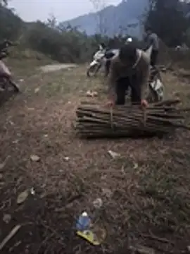 simi-lucy's cam snapshot