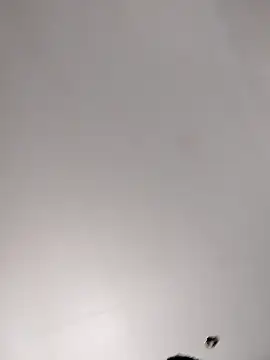 Wantmyassfilled's cam snapshot