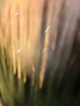 Deshi_bhabhi143's cam snapshot