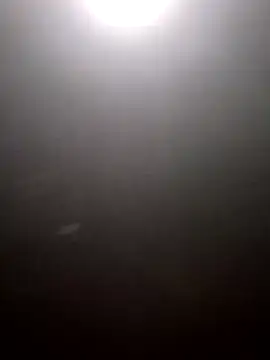 Dina20's cam snapshot