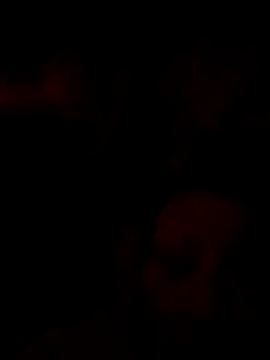 Maryfnjane's cam snapshot