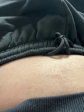 Hamsterdich's cam snapshot