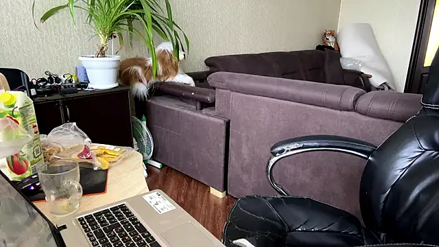 LadyFoxLove's cam snapshot