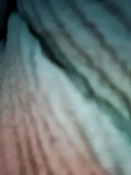 Punam_panjabi's cam snapshot