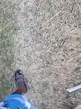 dolphiinn's cam snapshot