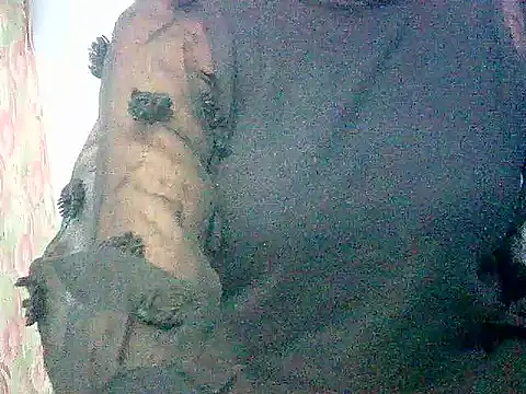 Wild_Paaro's cam snapshot