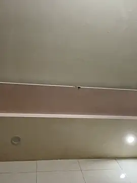 Liness101's cam snapshot