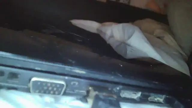 Mushroom83 live sex cam