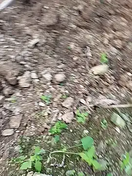 Sikici0734's cam snapshot