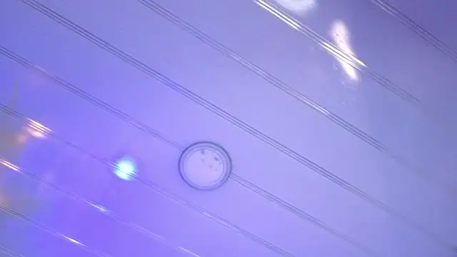 sakuramoss's cam snapshot