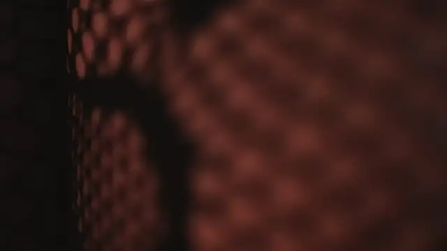 ambar_rosse25's cam snapshot