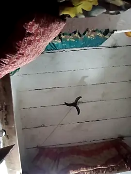 Punam_sing live sex cam