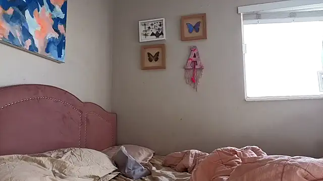 lodestar's cam snapshot