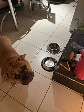 PichyPrettyPussy's cam snapshot