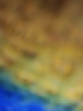 Punam_sing's cam snapshot