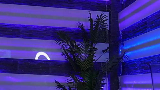 Miss_Denisse's cam snapshot