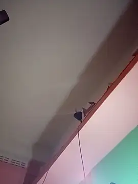 bengali_hard_dick12's cam snapshot