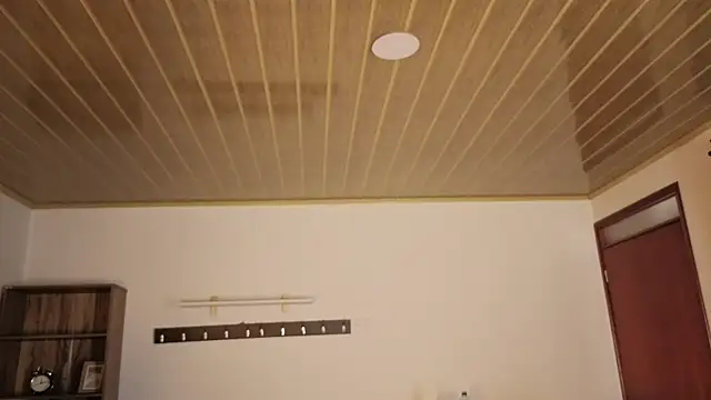 Renaxi_Smith live sex cam