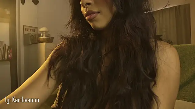 Karibeam's cam snapshot