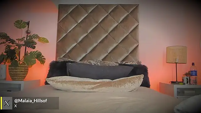 malaia_hills's cam snapshot