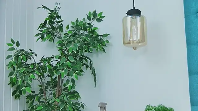 EmilyColle_'s cam snapshot