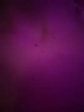 Maaddy_LS's cam snapshot